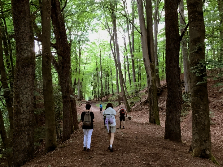Wandernde im Furlbachtal in der Senne (NRW/OWL)