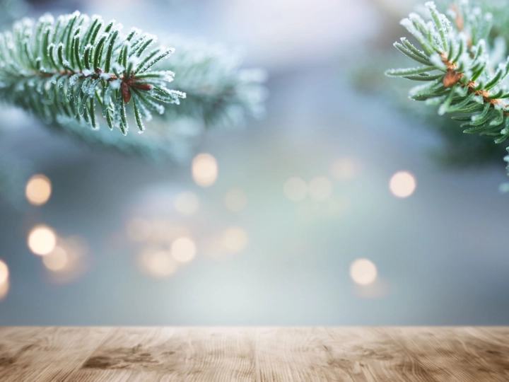 Weihnachtliche Tannenzweige 